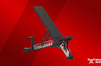 Titan Collection Adjustable Bench Overview (2024)