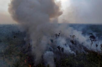 2024 is on its approach to being the most well liked yr ever