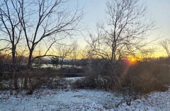 The Little Issues Publication #448 – Life, laughter, and many nice meals!