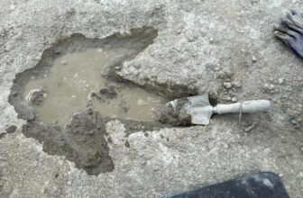 A whole lot of Footprints Present in Jurassic ‘Dinosaur Freeway’