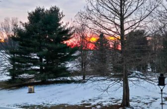 The Little Issues Publication #455 – Life, laughter, and plenty of nice meals!