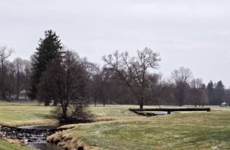 The Little Issues E-newsletter #456 – Life, laughter, and plenty of nice meals!