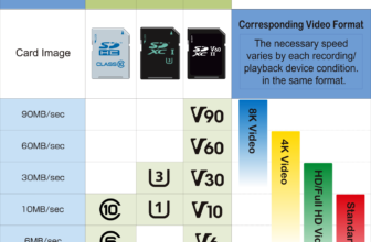 One of the best microSD playing cards in 2025