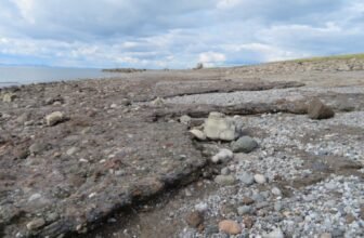 Industrial Waste Is Turning Into Rock in Simply Many years, Research Suggests