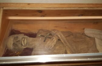 By no means-Earlier than-Seen Anal Embalming Methodology Saved This European Mummy Preserved for Almost 300 Years