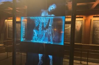 Epic Universe’s Greatest Trip May Simply Come From the Darkish Universe