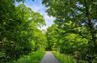 The Little Issues Publication #471 – Life, laughter, and many nice meals!