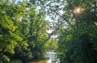 The Little Issues Publication #473 – Life, laughter, and plenty of nice meals!