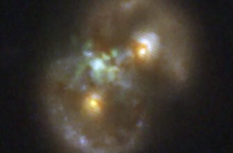 Webb spots ‘Infinity Galaxy’ that sheds mild on black gap formation
