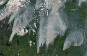 U.S. Lawmakers Blame Canada for Ruining Summer season With Wildfire Smoke