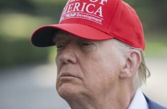 Trump Is Shedding His Military of Web Alpha Males Over the Epstein Recordsdata