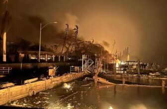 Two Years After Maui Burned, Researchers Reveal the Wildfire’s True Dying Toll