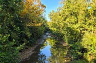 The Little Issues Publication #487 – Life, laughter, and many nice meals!