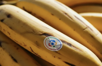Google’s Nano Banana AI-image enhancing is coming to Search, NotebookLM and Pictures