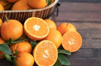 Lady’s Bruising From a Therapeutic massage Gun Was a Signal of One thing Far Worse: Scurvy